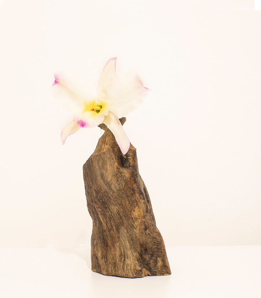Driftwood small quirky wooden vase