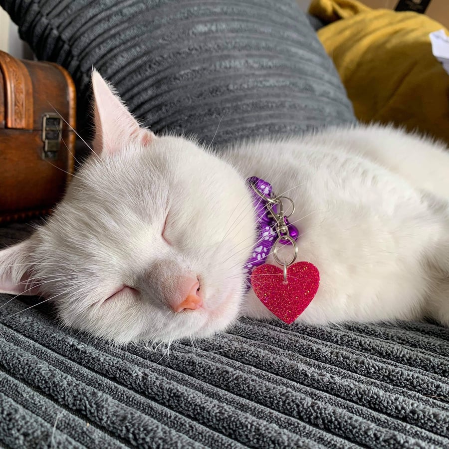 Sparkle heart pet tags