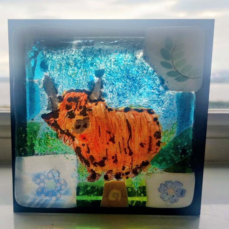 Fused glass coo