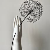 Wire Botanical