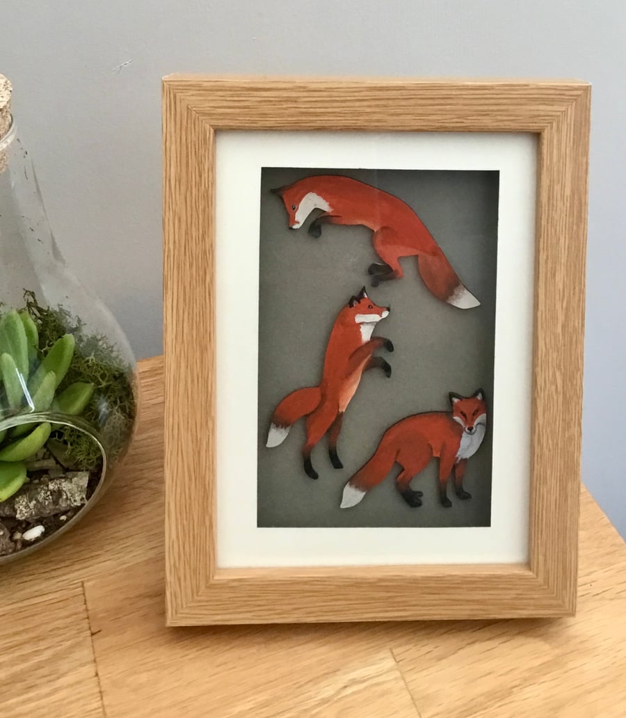 Fox box frame picture