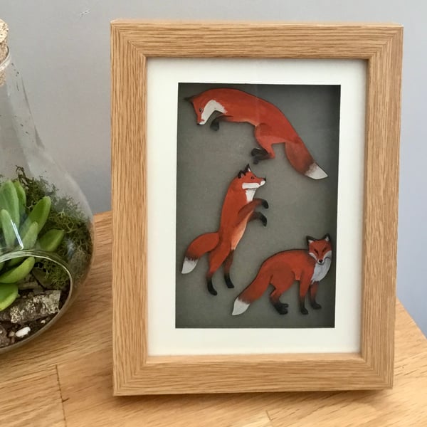 Fox box frame picture
