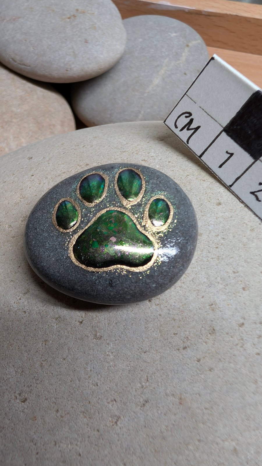 Paw Print Stone