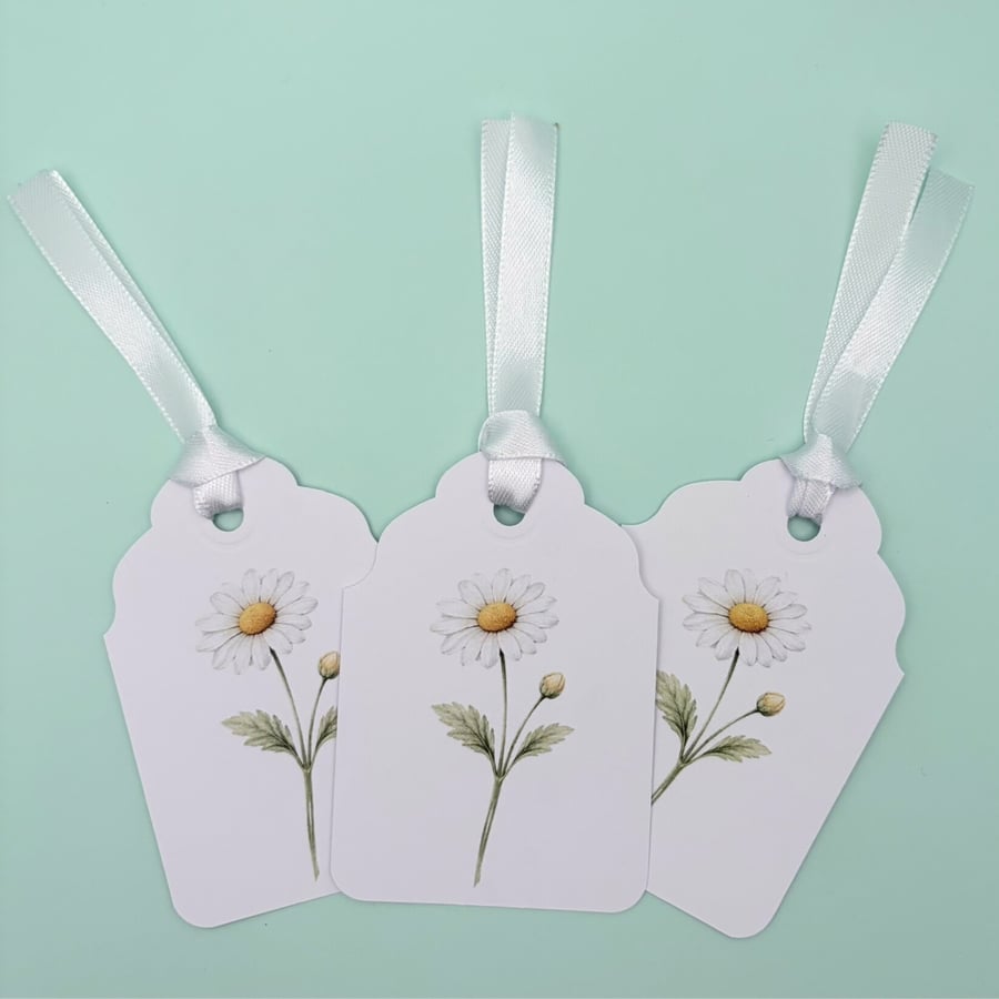Daisy Birth Flower Gift Tags - Set of 3 Botanical April Flower.