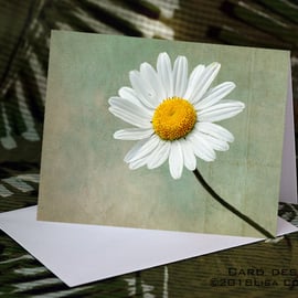 Exclusive Delicate Daisy Greetings Card