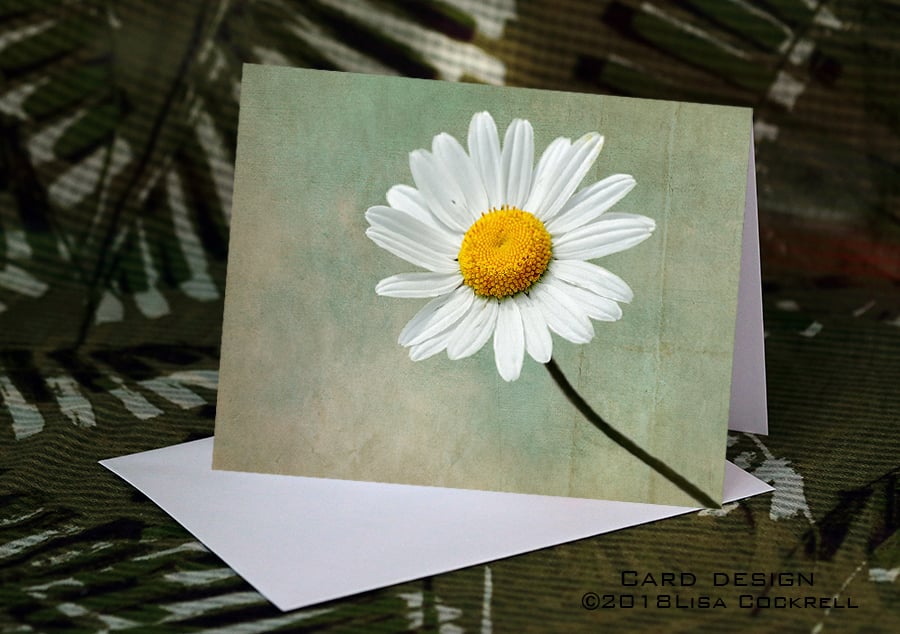 Exclusive Delicate Daisy Greetings Card