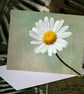 Exclusive Delicate Daisy Greetings Card