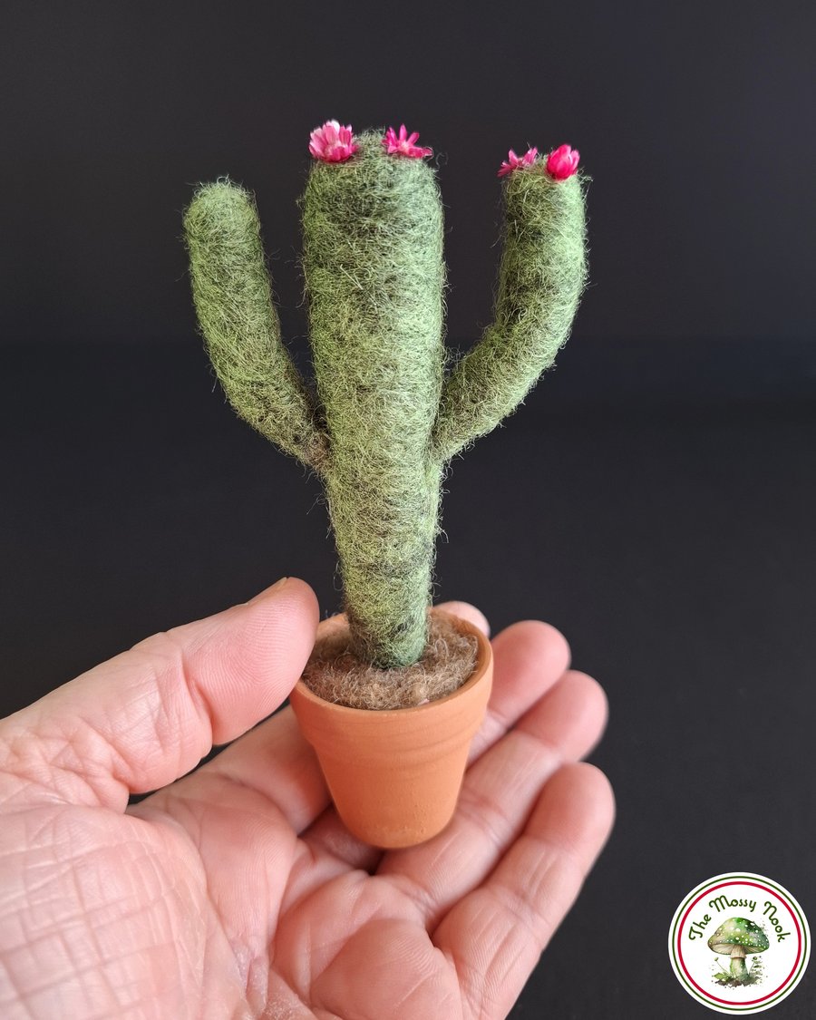 Desert Cactus. Needle Felted with Wool Fibres. Pink Flowers. Real Pot. 