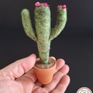 Desert Cactus. Needle Felted with Wool Fibres. Pink Flowers. Real Pot. 