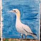 Gannet 2 Original Watercolour Painting