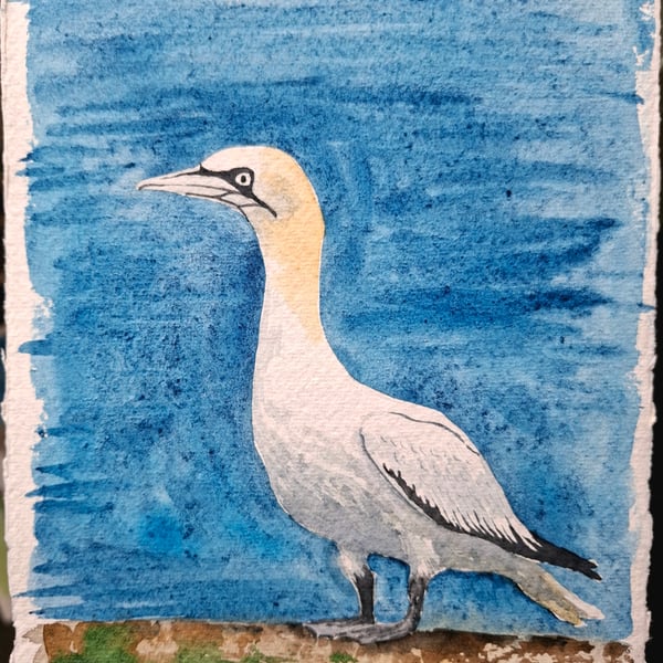 Gannet 2 Original Watercolour Painting