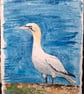 Gannet 2 Original Watercolour Painting