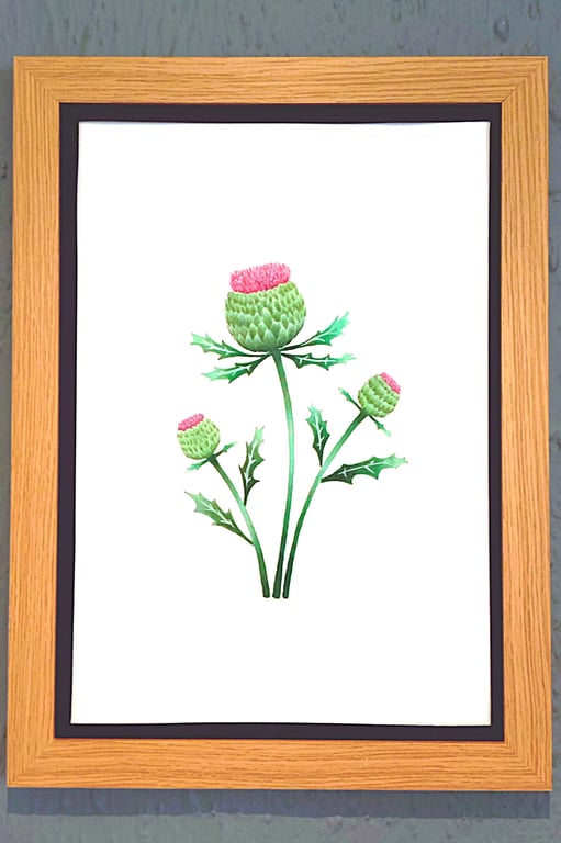 Genuine Made in UK Framed A3 Print Scottish Thistles Bold Black Border Wallart
