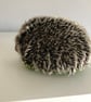 Hedgehog - Image 4