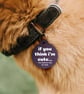 If You Think I'm Cute -  Personalised Dog ID Collar Tag: Funny Custom Pet Tag