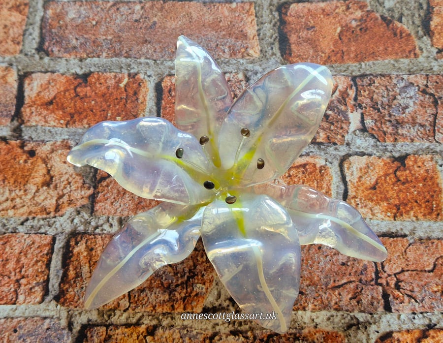 Handmade Fused Glass Lily Opaline White Stripe No 3 of 3.with Wall-mounting