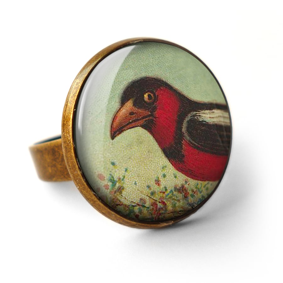  Disapproving Bird Ring (TB09)