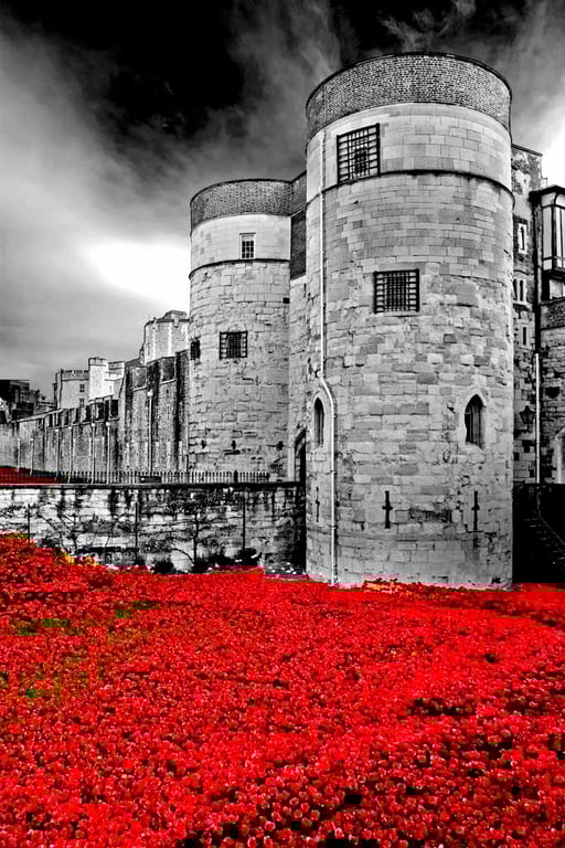 Tower of London Red Poppies England UK 12"x18" Print