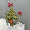 Potted Paper Geranium - Crimson