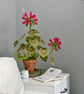 Paper Geranium - Crimson