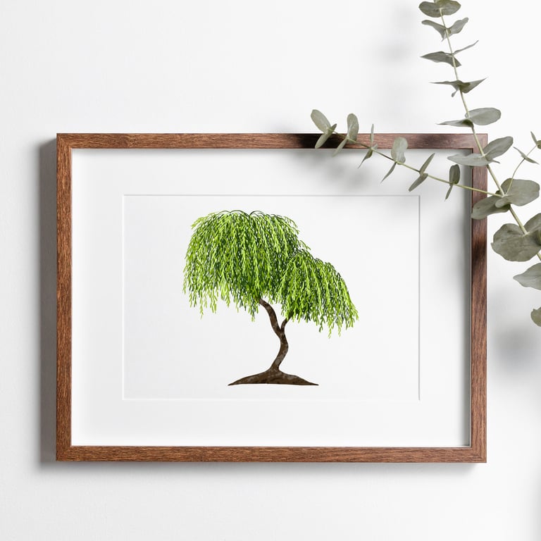 Weeping Willow Tree Art Print - Botanical Print - Illustrated Art Print