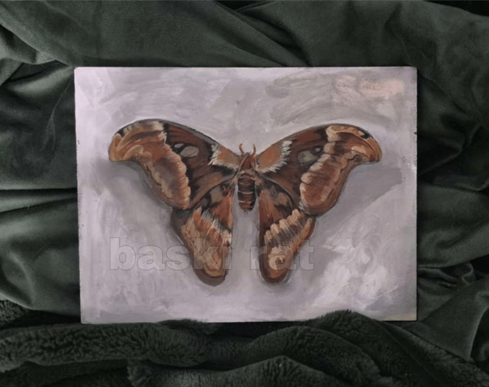 Atlas moth acrylic painting on wood