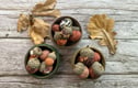 Autumn Decorations