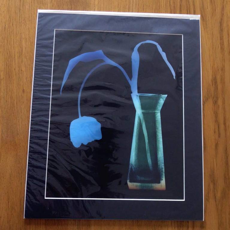 Tulip II Print from Original Photogram - Black mount to fit 10x12 inch frame 