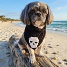 Custom made Skull Dog Bandana Crochet Goth Pet Scarf 100% Cotton Neckwear S - XL
