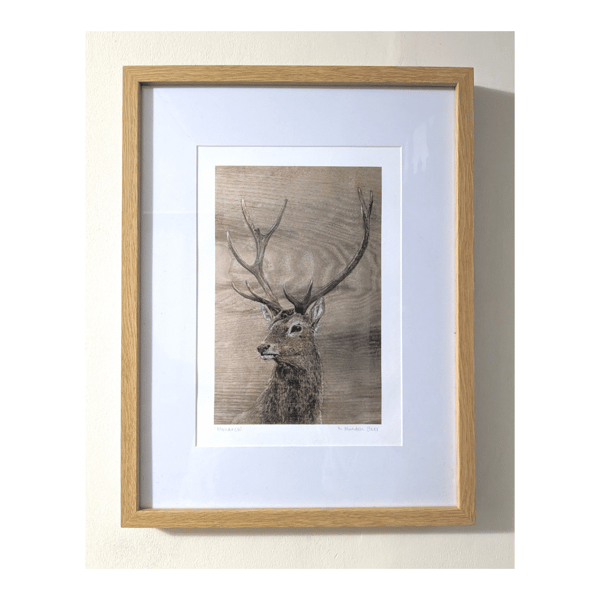 Framed Stag Giclee Print 