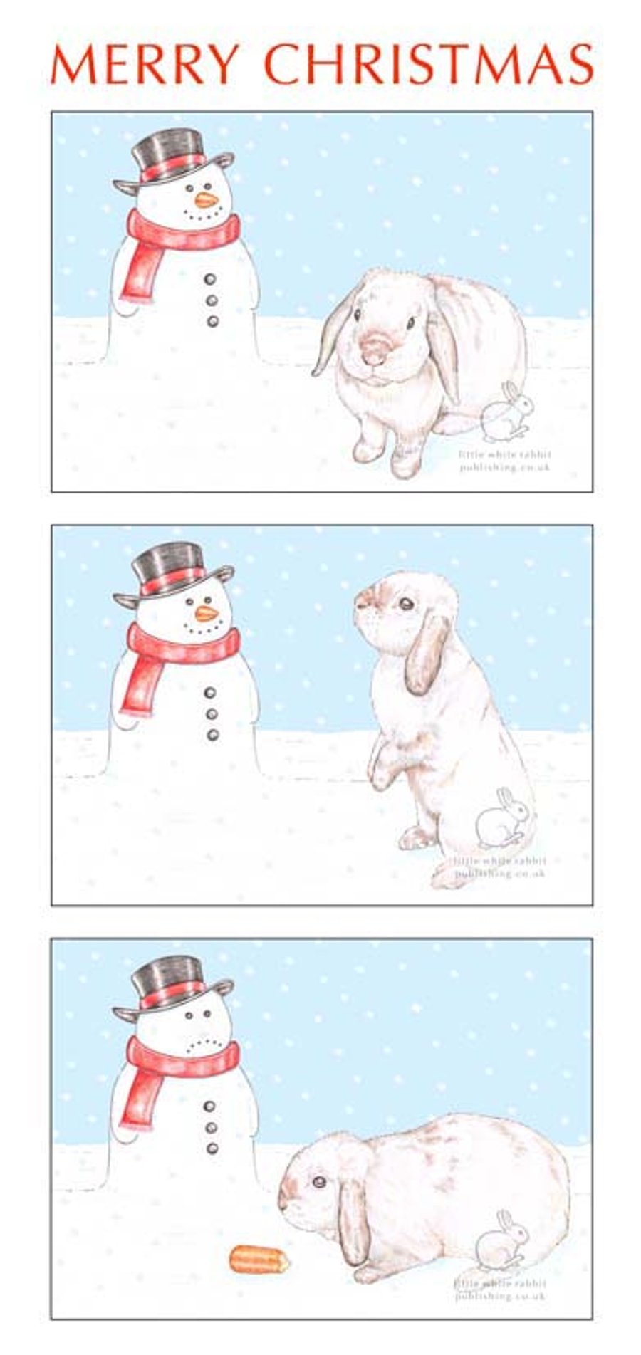 Beattie and the story of the carrot - Christmas Card