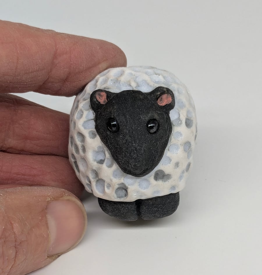 Sheep - Little Creatures Range