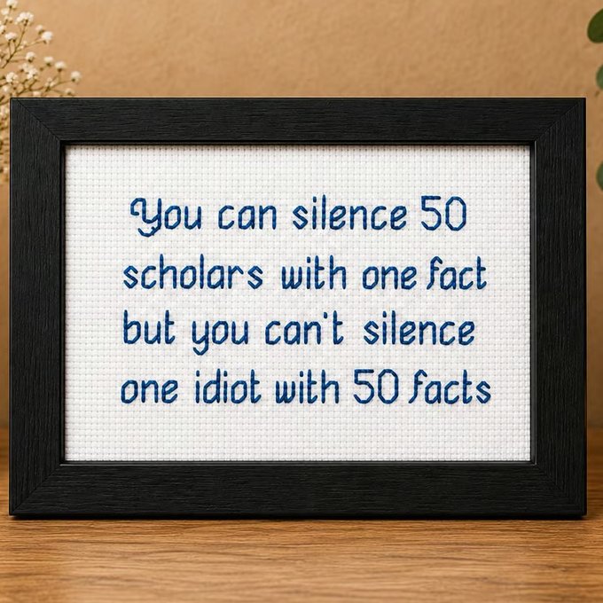 You Can Silence 50 Scholars – Witty Handmade Cross Stitch Quote Gift 6x4