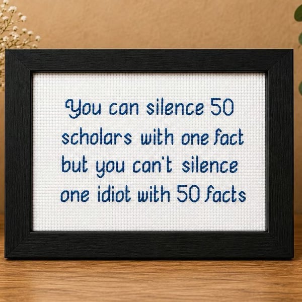 You Can Silence 50 Scholars – Witty Handmade Cross Stitch Quote Gift 6x4
