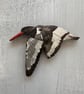 Oystercatcher Wooden Magnet - Image 3