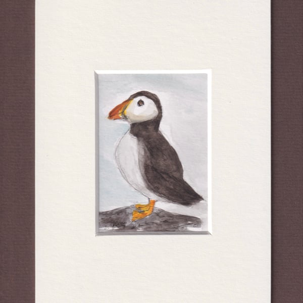 Puffin - miniature pen, ink, watercolour of bird