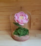 Crochet Flower Dome Collection – Orchid & Peony Edition - Image 4