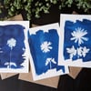 handmade A6 cyanotype cards "Anemone" set of 3 with envelopes