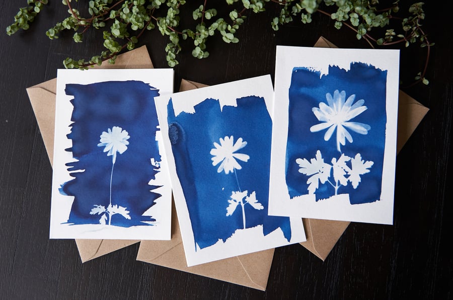 handmade A6 cyanotype cards "Anemone" set of 3 with envelopes