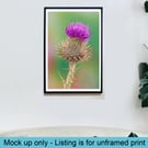 Spear thistle macro print