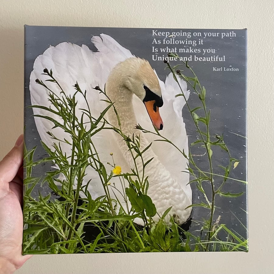 Swans Canvas print, 10 by 10 inches by 2cm deep. "Keep going" by Karl Loxton