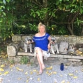 Blue Dog Art Creations