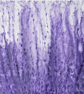 "Lilac Mystery" Original Handmade Abstract Acrylic Painting