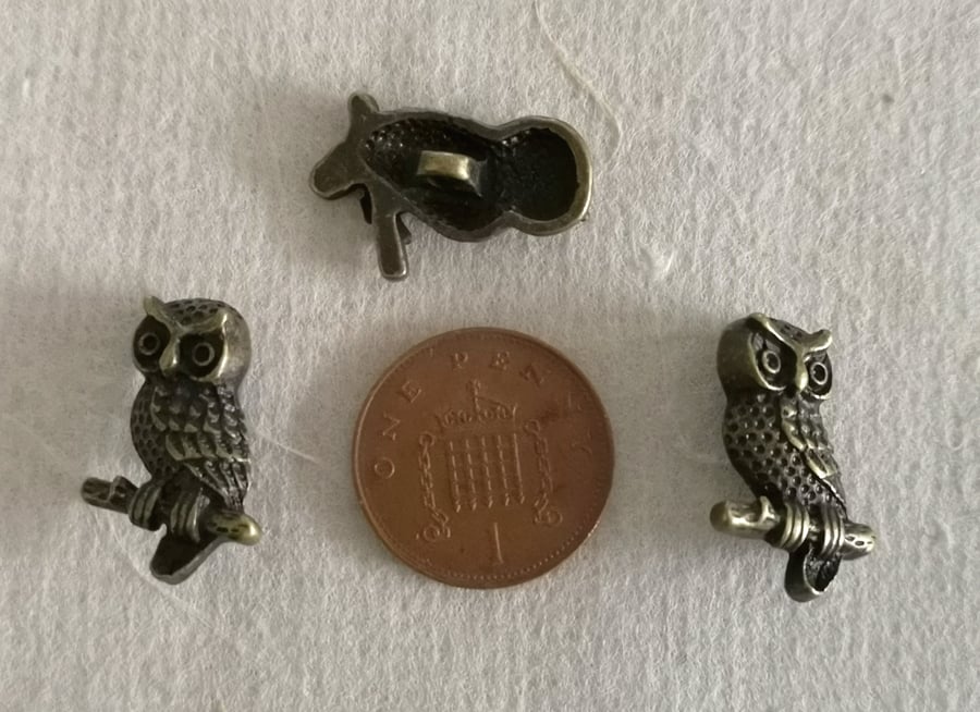 Owl buttons, antique gold, metal