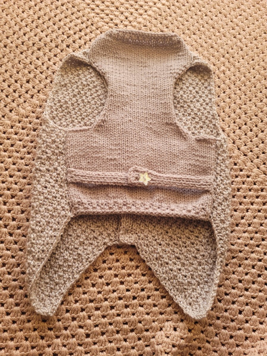 Party girl ,dog waistcoat 