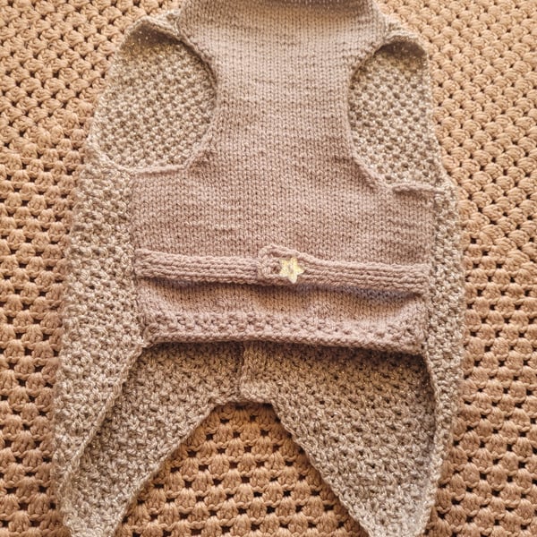 Party girl ,dog waistcoat 