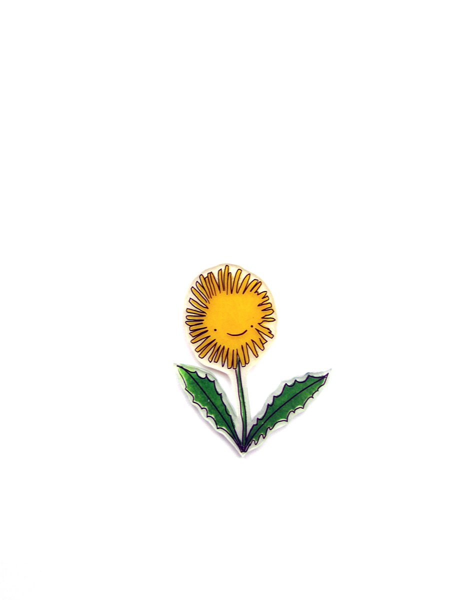 blank card - handmade dandelion flower card