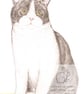 Archie the Cat -  Blank Card - Image 1