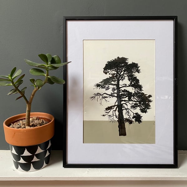 Torquay pine no.64, A4 size, original artwork, hand painted, neutral 