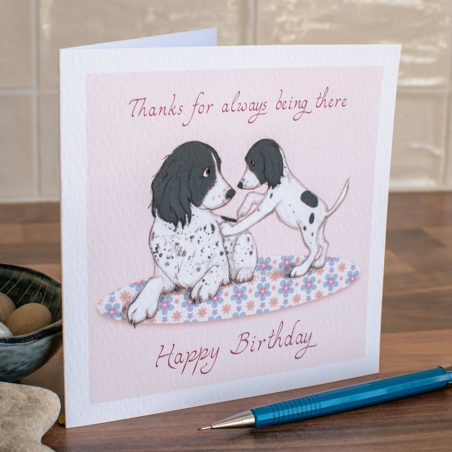 Birthday Card, Springer Spaniel, Black and White, Working Dog, Puppy, Countrysid